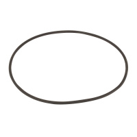 Уплотнительное кольцо AquaViva муфты MPV-08 2020016 Уплотнительное кольцо AquaViva муфты MPV-08 2020016