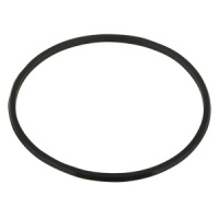 Прокладка-кольцо 6-ти поз. вентиля (1 1/2" ) для уплотнения коллектора фильтра V350-V650 Emaux MPV-01W-8 (02011001) Прокладка-кольцо 6-ти поз. вентиля (1 1/2" ) для уплотнения коллектора фильтра V350-V650 Emaux MPV-01W-8 (02011001)