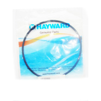 Прокладка Hayward Power-Flo II/ PowerLine (SPX8100R) Прокладка Hayward Power-Flo II/ PowerLine (SPX8100R)