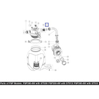 Втулка для шланга Aquaviva FSP (2011026) Втулка для шланга Aquaviva FSP (2011026)