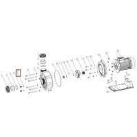 Уплотнительное кольцо дренажной заглушки Aquaviva WTB