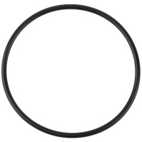 Резиновая прокладка под крышку AquaViva SB (02011085/02010248) Резиновая прокладка под крышку AquaViva SB (02011085/02010248)