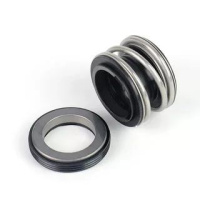 Сальник насоса BSMG1-19 CAR/CER/NBRG 60