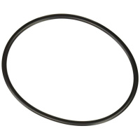 Уплотнительное кольцо для крышки хлоратора Hayward SPX3000SV Уплотнительное кольцо для крышки хлоратора Hayward SPX3000SV